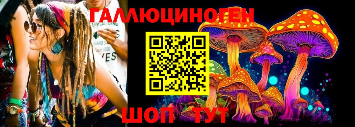 Галлюциногенные грибы Psilocybe Ялуторовск
